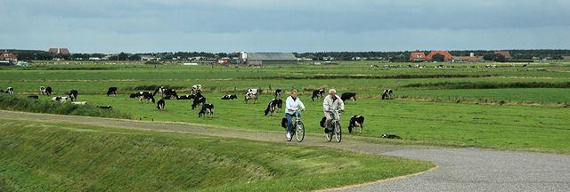 Fietstour am Deich entlang Fietstour am Deich entlang