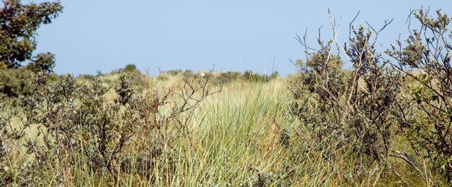 Durch die Natur Durch die Natur