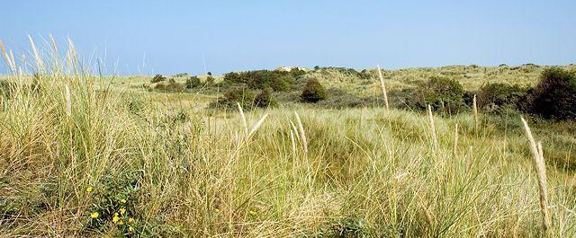 Durch die Natur Durch die Natur