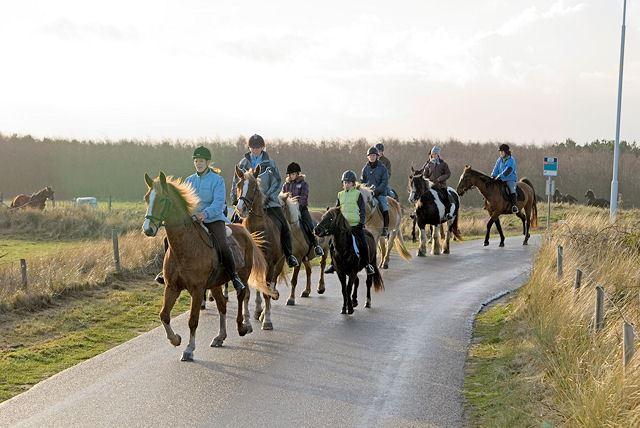 Reiten; ein großes Hobby auf Ameland