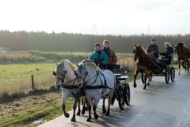 Kutschfahrt durch die Amelander Natur