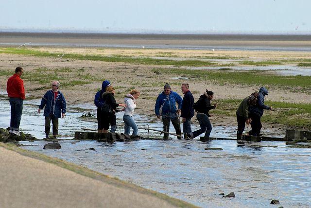 Wattwanderung durch Herrn Wijnberg