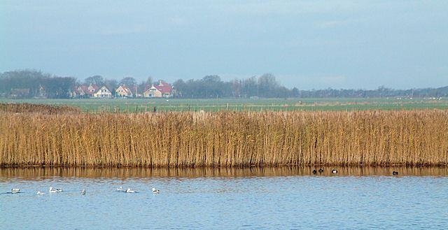 Radtour nach Hollum Radtour nach Hollum